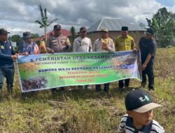 Pemdes Kesambe Lama bersama BUMDes Gelar Penanaman Jagung Serentak