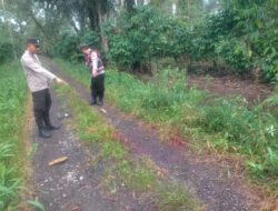 Sadis! Petani di Binduriang Ditusuk dari Belakang, Motor dan HP Raib Dibawa Kabur Pelaku