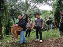 Pengusutan Dana Desa Tanjung Sari: Temuan Lapangan Ungkap Dugaan Manipulasi Proyek Futsal, Ketahanan Pangan dan Kebun Kas Desa