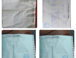 Potongan 5% TBS di PT Alno Sumindo: Petani Sawit Dirampas Secara Sistematis, Rugi Miliaran Tiap Bulan