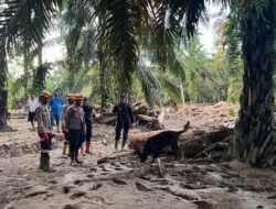 Tim K9 Ditpolsatwa Baharkam Polri Bantu Pencarian Korban Bencana di Bantaran Sungai Huta Raja