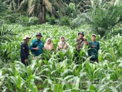 Kertapati Mudik Siap Unjuk Kekuatan di SADESAHE 2025, Baihaqi Nyatakan Tekad Besar untuk Ketahanan Pangan Desa