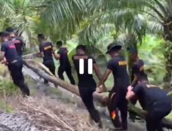 Brimob Polda Kaltara Membangun Jembatan Roboh di Tapal Batas, Sebatik Tengah