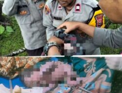 Warga Padang Leban Geger, Bayi Perempuan Ditemukan Hidup di Bawah Jembatan Padang Guci