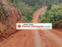 Pembangunan Jalan Misterius di Kawasan Transmigrasi Bukit Merbau, Anggaran Tak Diketahui