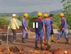Keributan Warnai Lokasi Sortasi TBS PT Alno Sumindo Astate, Penjual Sawit Tuntut Kejelasan Pemotongan