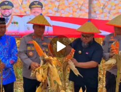 Kapolda Bengkulu Hadiri Panen Raya Jagung dan Pemberian Hadiah Lomba SADESAHE Provinsi Bengkulu Tahun 2025