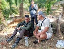 Diduga Panen di Lahan HGU, Warga Alas Bangun Didatangi Brimob dan Security PT SIL