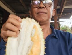 Durian Lokal Rejang Lebong Selangkah Menuju Kementan RI