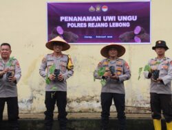 Pemanfaatan Lahan Produktif, Polres Rejang Lebong Tanam 100 Bibit Uwi Ungu di Selupu Rejang