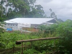 Terkesan Tertutup, Pembangunan Dapur MBG di Rejang Lebong Dipertanyakan Publik
