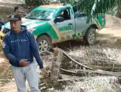 Warga Panen Sawit Dihadang Brimob dan Security PT SIL, Kebun Diduga Berada di Kawasan HPK di Luar HGU
