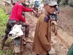 Warga Pangambang Harap Pemkab Rejang Lebong Bangun Jalan Usaha Tani 9 KM, Dongkrak Ekonomi Petani