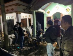 DPO Kasus Pupuk dan Gran Max Kembali Berulah, Pelaku Curat Motor di Air Nau Dibekuk Polisi