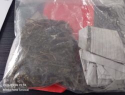 Satresnarkoba Polres Rejang Lebong Bongkar Dua Kasus Narkoba, Amankan 4,67 Gram Sabu dan 45,75 Gram Ganja