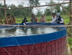Sinergi Kodim 0409/RL – Desa Kampung Baru: Babinsa Serka M Ali Dampingi Kelompok “Walet Fish” Kembangkan Bioflok Nila di Kampung Baru demi Sukseskan MBG