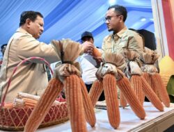 Panen Raya Jagung Bersama Presiden Prabowo, Petani Optimistis Swasembada Pangan Tercapai