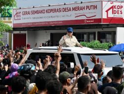 Presiden Prabowo Dorong Kemandirian Pangan Nasional, Mensesneg: Cadangan Beras Tembus 5,3 Juta Ton