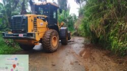 Pembersihan Material Longsor di Jalur Sindang Kelingi–Sindang Dataran Masih Berlangsung, Akses Belum Bisa Dilalui