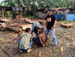Modus Jual Beli Sapi, Pria Asal Betungan RT. 38 Kota Bengkulu Dibekuk Resintel Polsek Padang Ulak Tanding