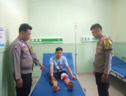 Warga Bermani Ulu Raya Diserang Beruang Madu Saat ke Kebun Kopi, Korban Alami Luka Robek di Paha