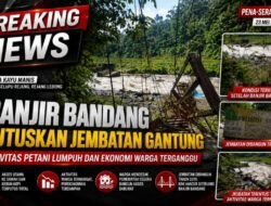 Banjir Bandang Putuskan Jembatan Gantung di Desa Kayu Manis, Aktivitas Petani Lumpuh dan Ekonomi Warga Terganggu