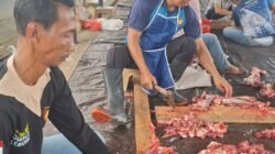 Momentum Idul Adha 1447 H, Polres Rejang Lebong Kurbankan 5 Sapi dan 1 Kambing untuk Kaum Membutuhkan