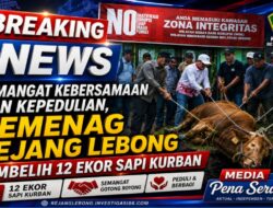 Semangat Kebersamaan dan Kepedulian, Kemenag Rejang Lebong Sembelih 12 Ekor Sapi Kurban