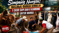 Semangat Idul Adha Menggema di Simpang Nangka! Masjid Al-Barkah Sembelih 1 Ekor Sapi dan 6 Kambing untuk Warga