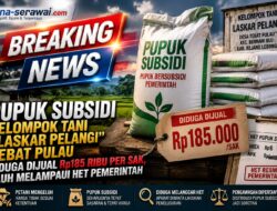 Pupuk Subsidi Kelompok Tani ” Laskar Pelangi ” Tebat Pulau Diduga Dijual Rp185 Ribu per Sak, Jauh Melampaui HET Pemerintah