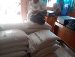 PemDes Batu Panco  Kecamatam Ulu Manna Bagikan Bantuan Beras (Bapang) dan Minyak Goreng sebanyak 43 KPM