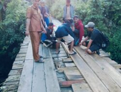 Plt Camat Sindang Beliti Ilir Turun Tangan, Pimpin Gotong Royong Perbaiki Jembatan Vital Lubuk Belimbing