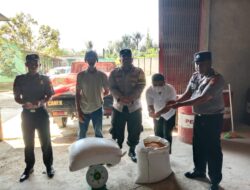 Polsek Sindang Dataran Kawal Penyerapan 2 Ton Jagung Petani, Bulog Serap 100 Persen Hasil Panen Berkualitas