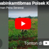 Bhabinkamtibmas Polsek Kota Padang Dampingi Petani, Perkuat Ketahanan Pangan Nasional di Sukamerindu