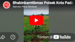 Bhabinkamtibmas Polsek Kota Padang Dampingi Petani, Perkuat Ketahanan Pangan Nasional di Sukamerindu