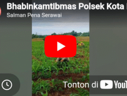 Bhabinkamtibmas Polsek Kota Padang Dampingi Petani, Perkuat Ketahanan Pangan Nasional di Sukamerindu
