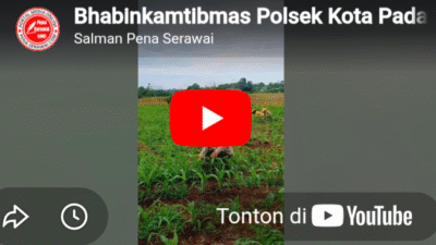 Bhabinkamtibmas Polsek Kota Padang Dampingi Petani, Perkuat Ketahanan Pangan Nasional di Sukamerindu