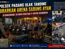 Polsek Padang Ulak Tanding Bubarkan Arena Sabung Ayam di Binduriang, 10 Ekor Ayam dan 11 Motor Diamankan