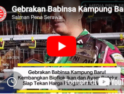 Gebrakan Babinsa Kampung Baru! Kembangkan Bioflok Ikan dan Ayam Petelur, Siap Tekan Harga Pangan untuk Warga