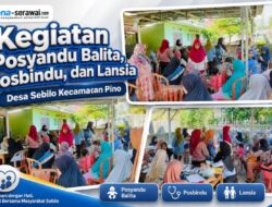 Kegiatan Posyandu Balita, Posbindu, dan Lansia Desa Sebilo Kecamatan Pino