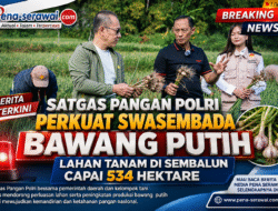 Satgas Pangan Polri Perkuat Swasembada Bawang Putih, Lahan Tanam di Sembalun Capai 534 Hektare