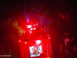 Malam Mencekam! Lahan 1 Hektare Terbakar di Guru Agung Rejang Lebong, Penyebab Belum Diketahui