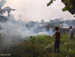 Lahan Dekat Pemukiman di Desa Guru Agung Terbakar, Damkar dan Warga Bergerak Cepat