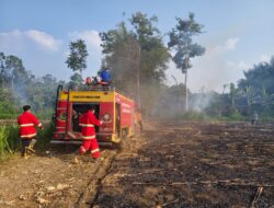 Kebakaran Lahan Kebun di Air Merah, Api Diduga Berasal dari Pembakaran Jagung