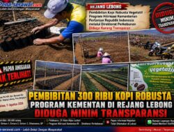 Papan Anggaran Tak Terlihat, Pembibitan 300 Ribu Kopi Robusta Program Kementan di Rejang Lebong Diduga Minim Transparansi