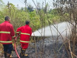 Kebakaran Lahan Melanda Desa Palbatu, Damkar Rejang Lebong Kerahkan Dua Unit Mobil Pemadam