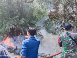 Diduga Akibat Puntung Rokok, Lahan Seluas 1 Hektare Terbakar di Pasar Padang Ulak Tanding