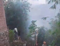Lahan Bambu Seluas Setengah Hektare di Desa Kayu Manis Terbakar, Damkar Kerahkan 1 Armada