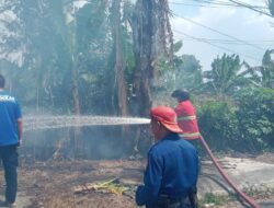 Kebakaran Lahan di Belakang Hotel Mira Curup Diduga Dipicu Pembakaran Sampah
