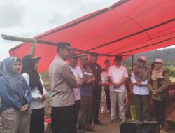 GERTAM PM-AAS Digelar di Bermani Ulu, Tanam Padi dan Bantuan Insektisida Perkuat Pertanian Modern Rejang Lebong